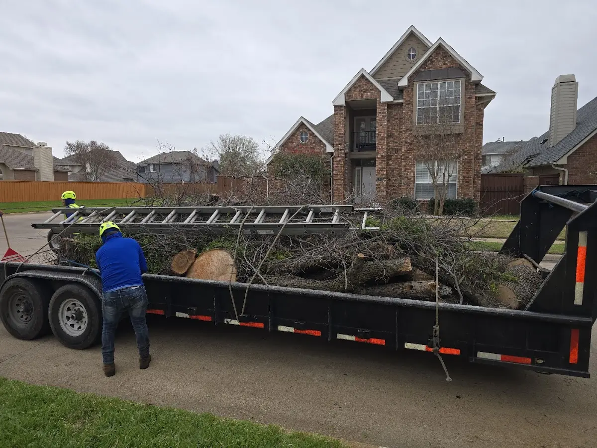 Expert Tree Pest Control with proper safety equipment in Beallsville